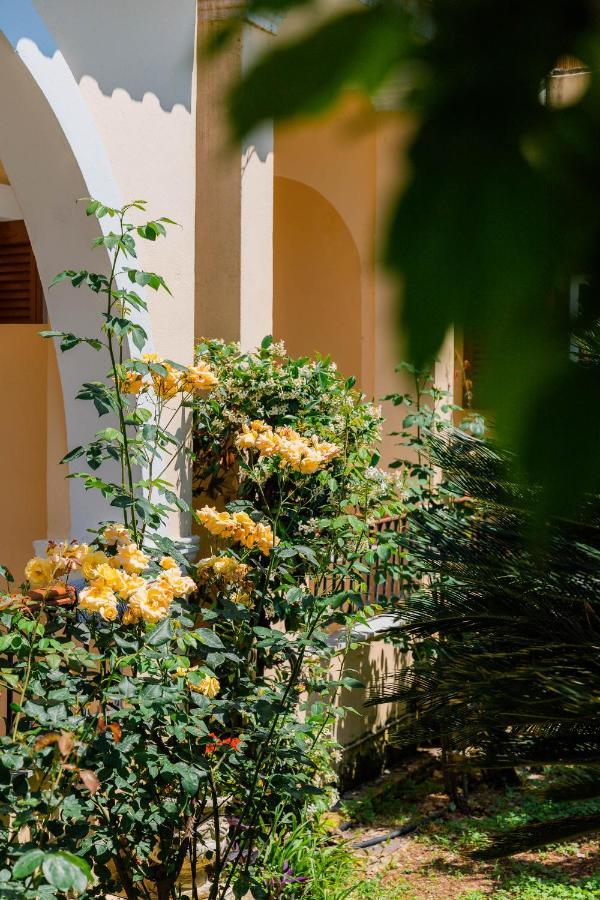 Ilena Hotel Acharavi  Esterno foto